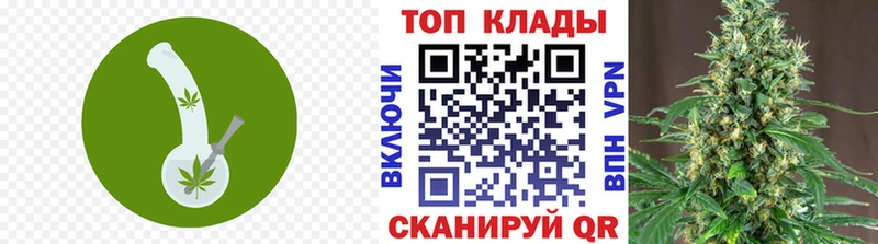Купить закладку Cocaine  Меф мяу мяу  Галлюциногенные грибы  МАРИХУАНА  ГАШ  Кстово