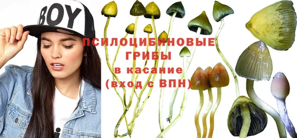 амфетамин Козловка