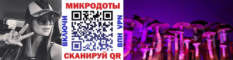 Купить закладки  Кстово  Галлюциногенные грибы GOLDEN TEACHER 